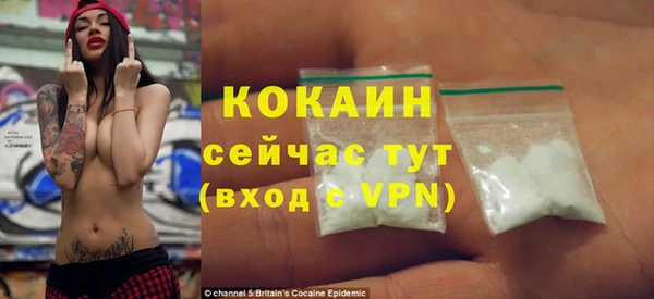 таблы Снежногорск
