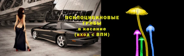 индика Снежинск